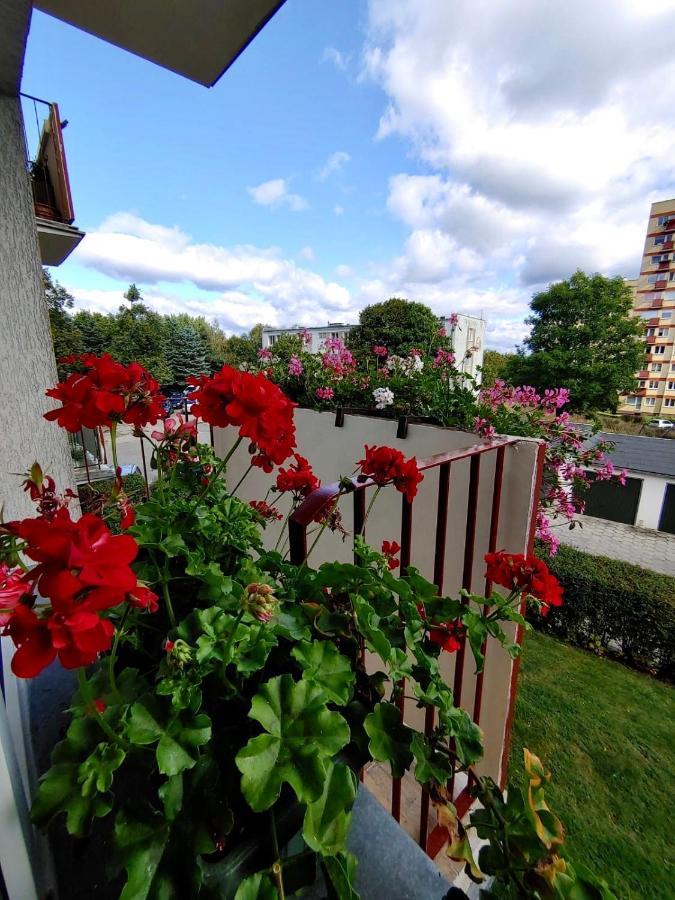 Loft House Sopot Apartament Apartment Екстериор снимка